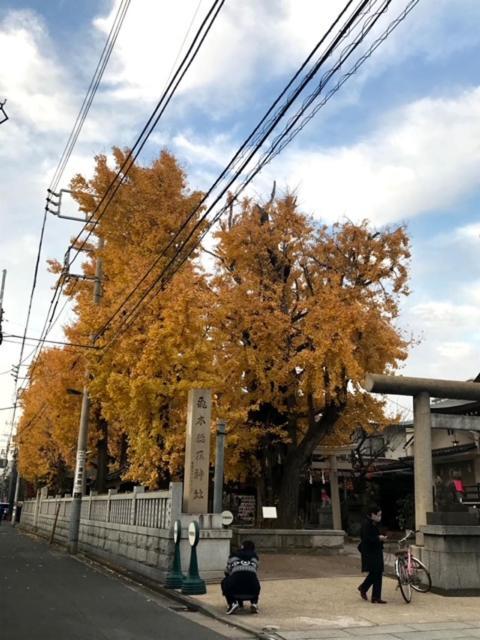 Sky Tree Inn Tokyo Exterior photo