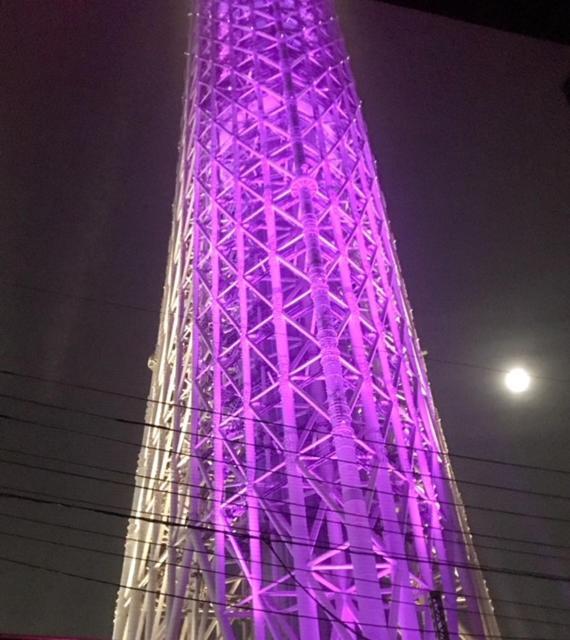 Sky Tree Inn Tokyo Exterior photo