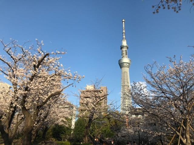 Sky Tree Inn Tokyo Exterior photo